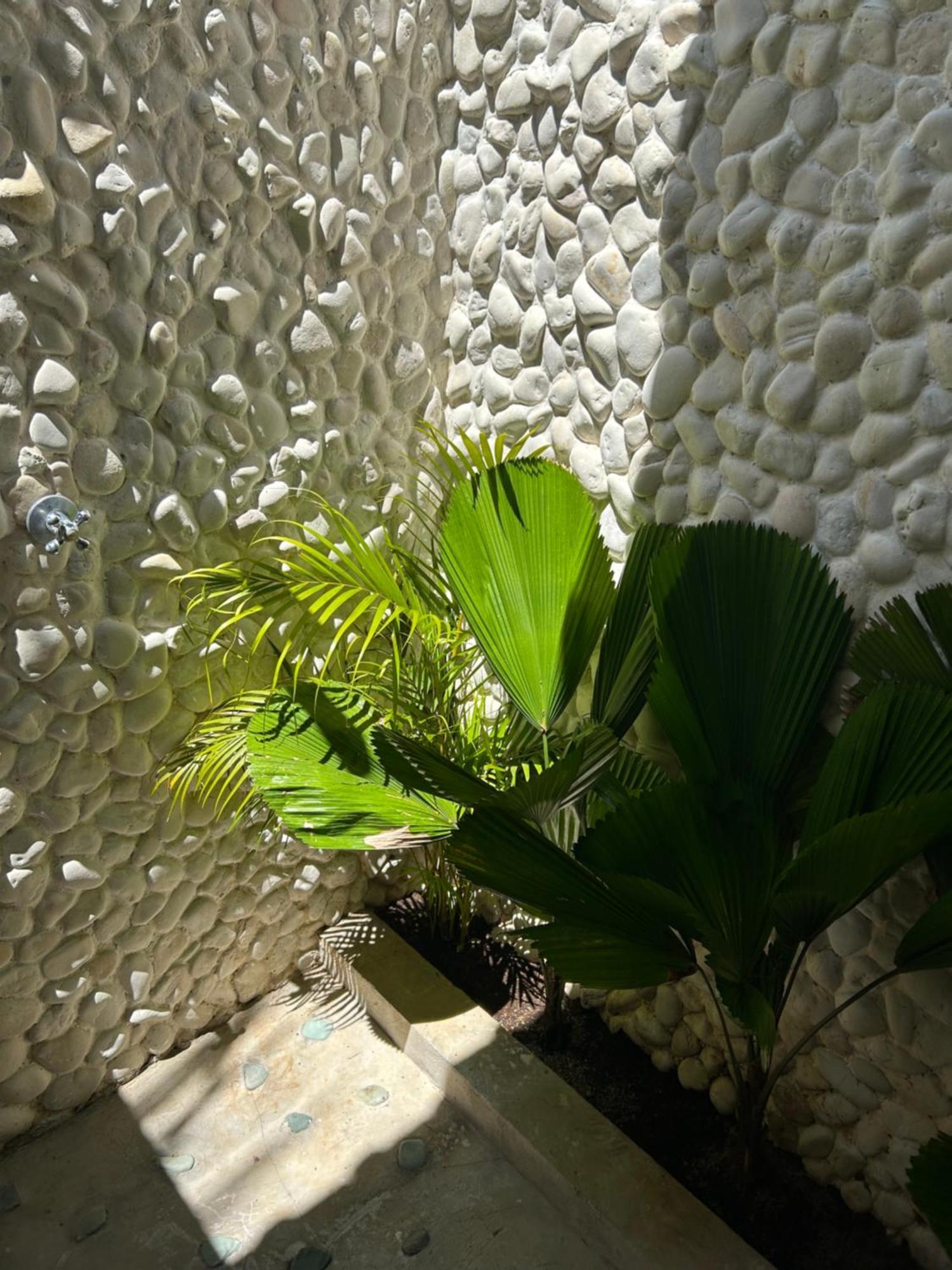 La Kreyiol Bed & Breakfast Uluwatu Dış mekan fotoğraf